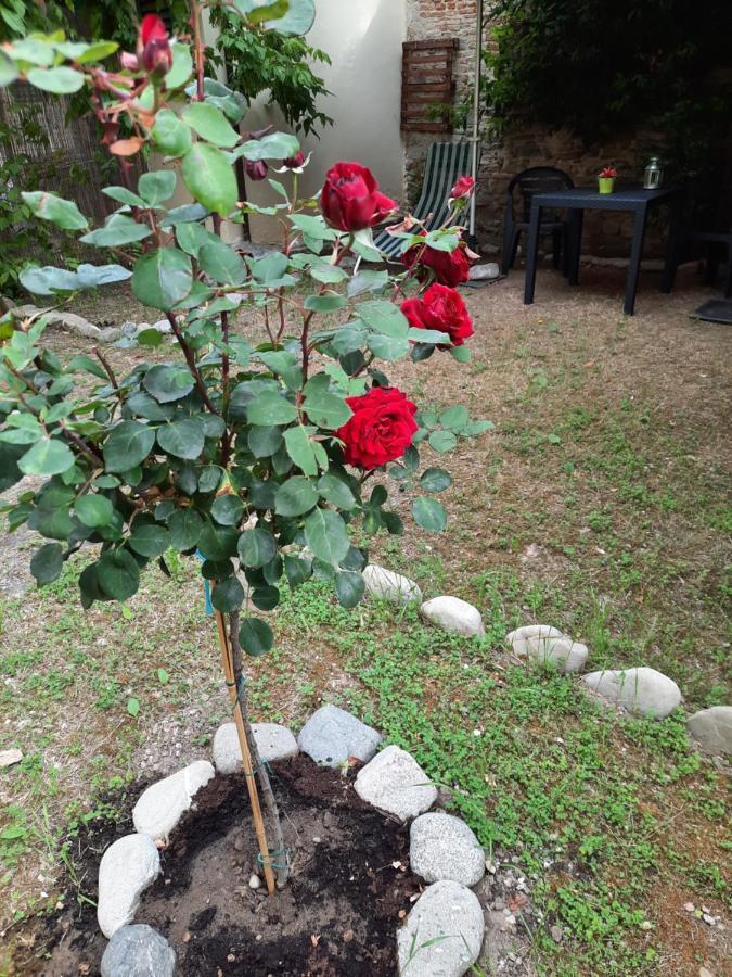 Au Jardin De Florence Acomodação com café da manhã Exterior foto